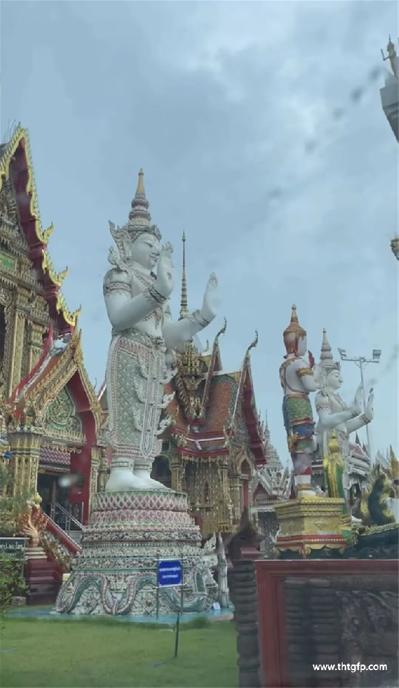 科普：龙婆宋撒招财女神（南刮）米缸