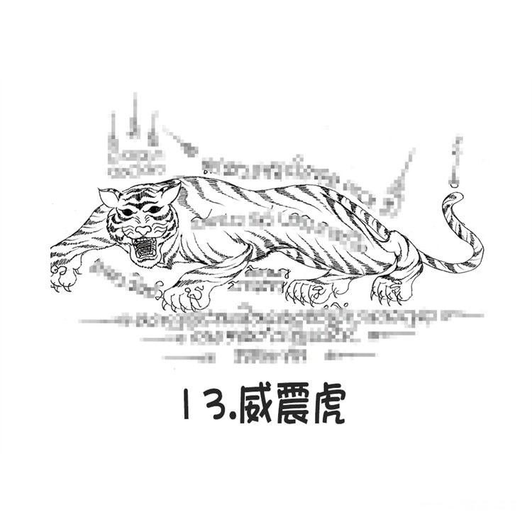 阿赞朕甩 无头虎 威震虎 泰国银针刺符 古法纹身  6月28中国法会预约 首次中国行 见面会 法会 阿赞通蜀无头虎传人