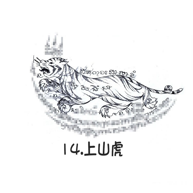 上山虎 回头虎 阿赞朕甩 泰国古法刺符 泰国一对一法事预约  2025 6月中国 法会预约  首次中国行 见面会 法会 阿赞通蜀无头虎传人