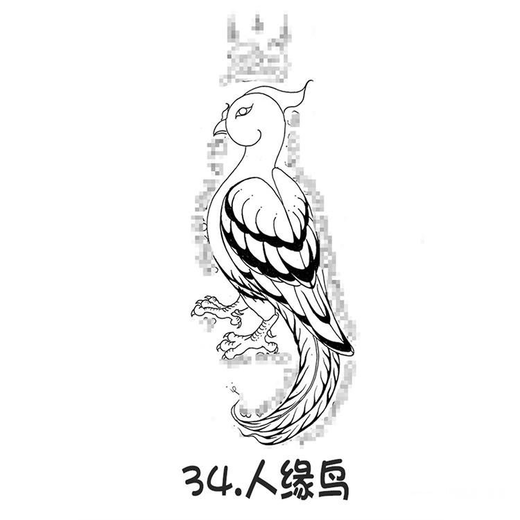 人缘鸟 泰国古法刺符 2025年6月28号 阿赞通蜀无头虎直系传人 阿赞朕甩 广州法会预约 泰国传统法事预约